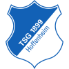 1899 Hoffenheim logo